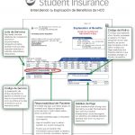understanding-eob